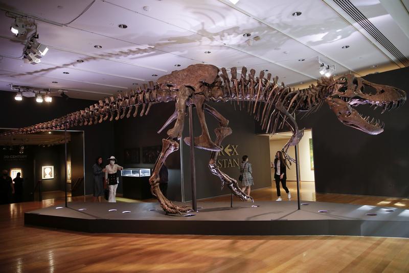 Tyrannosaurus Rex, Foto: JOHN ANGELILLO / UPI / Profimedia