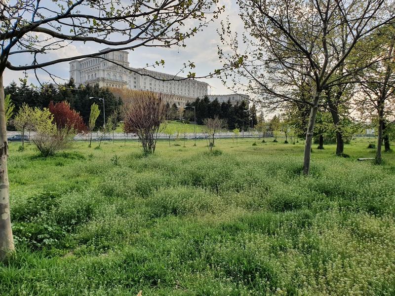 Boscheți Parcul Izvor, Foto: Hotnews