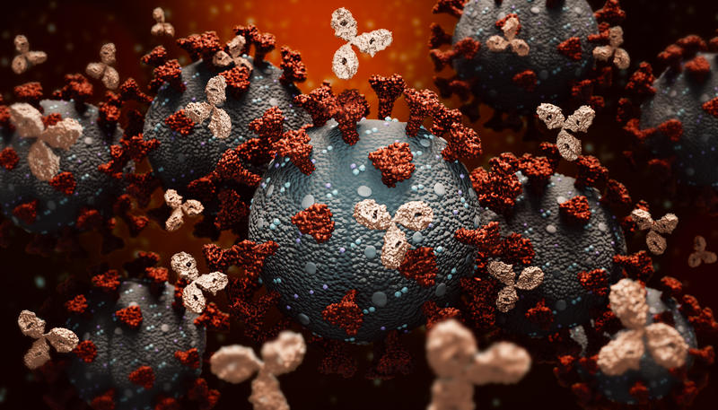 Anticorpi anti SARS-CoV-2, Foto: MedLife