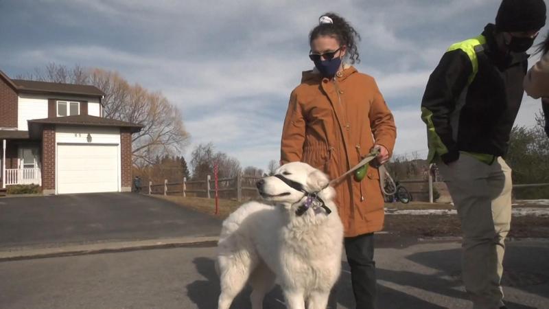 Clover si stapana ei, Foto: Captura video
