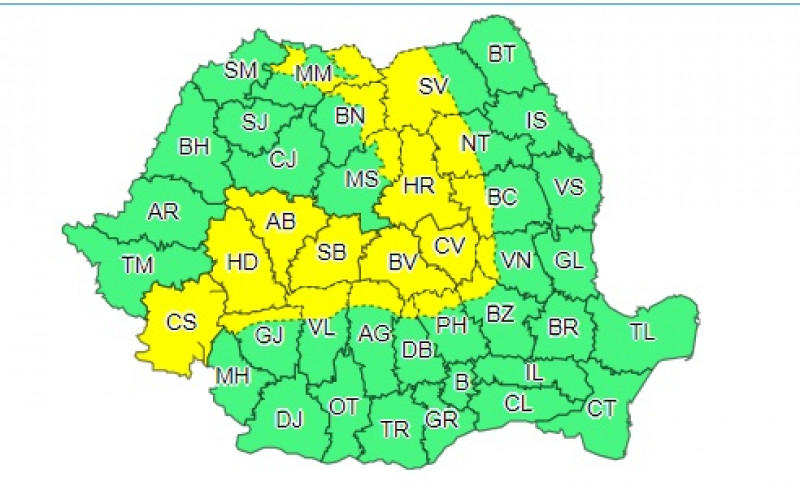 cod galben, Foto: ANM