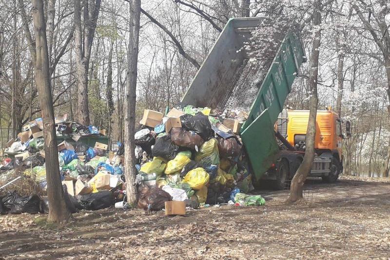 Depozite de gunoaie in Parcul Herastrau, Foto: Facebook - Clotilde Armand