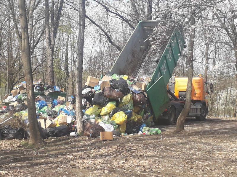 Depozite de gunoaie in Parcul Herastrau, Foto: Facebook - Clotilde Armand