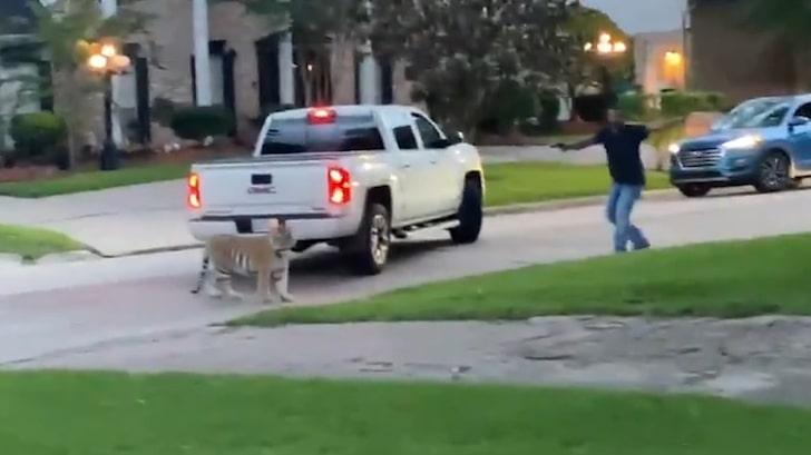 Tigrul din Houston, Foto: Captura video