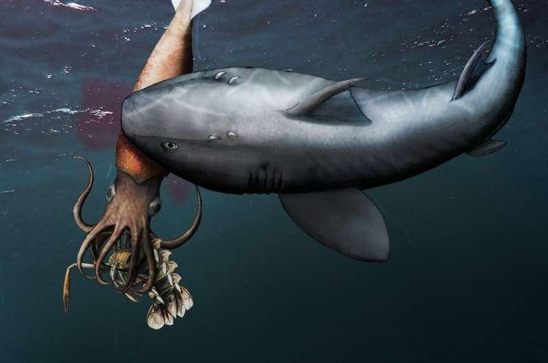 Reprezentare artistica a fosilei, Foto: Swiss Journal of Palaeontology