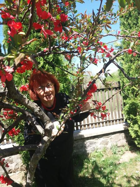 Adriana Maxim, Foto: Hotnews