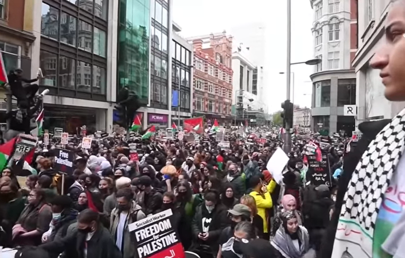 Manifestatii pro-Palestina, Foto: Captura YouTube