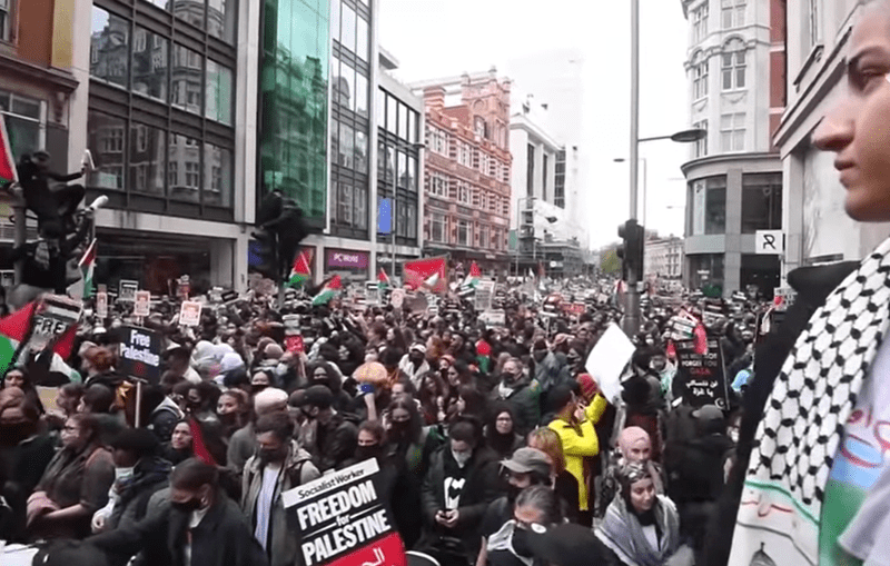 Manifestatii pro-Palestina, Foto: Captura YouTube