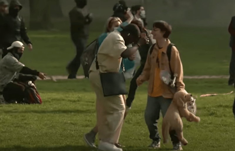 Petrecere protest Bruxelles, Foto: Captura YouTube