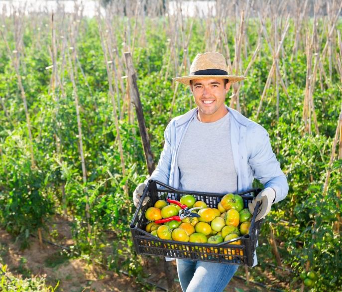 fermier tanar, Foto: Dreamstime.com