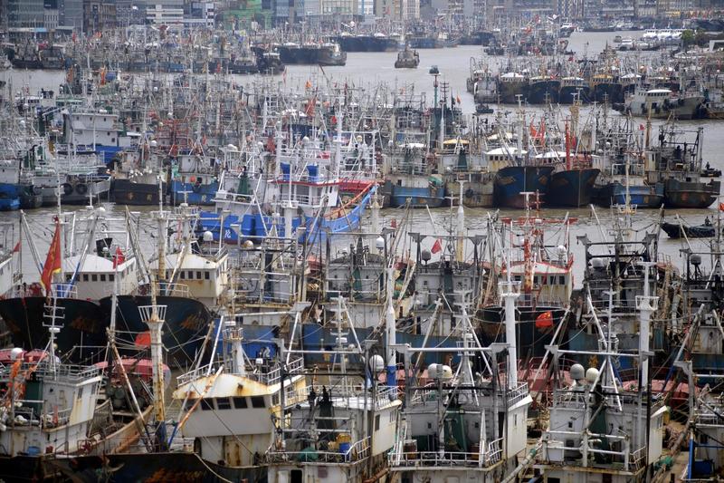 Vase de pescuit ale Chinei, Foto: Imaginechina / ddp USA / Profimedia Images