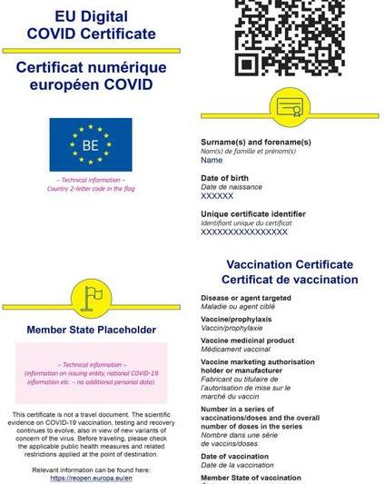 Document vaccinare, Foto: STS