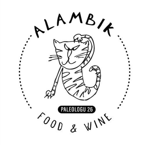 Alambik, ctitoria lui Adrian Darabană pe strada Paleologu 26, Foto: Hotnews