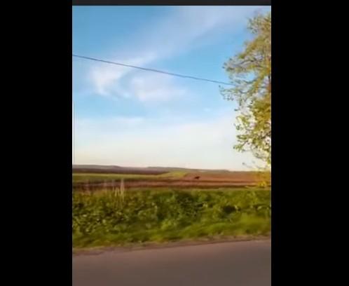 Screenshot, Foto: Hotnews