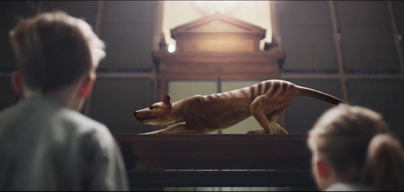 Toate animalele ce vor fi prezentate cu ajutorul realitatii virtuale de muzeul parizian au fost intalnite de Homo Sapiens, Foto: Captura YouTube