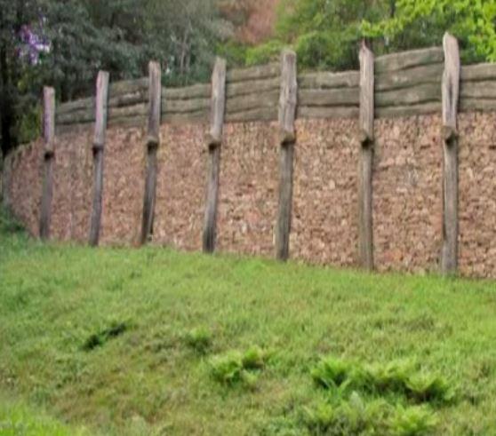 Zid galic, Foto: youtube.com