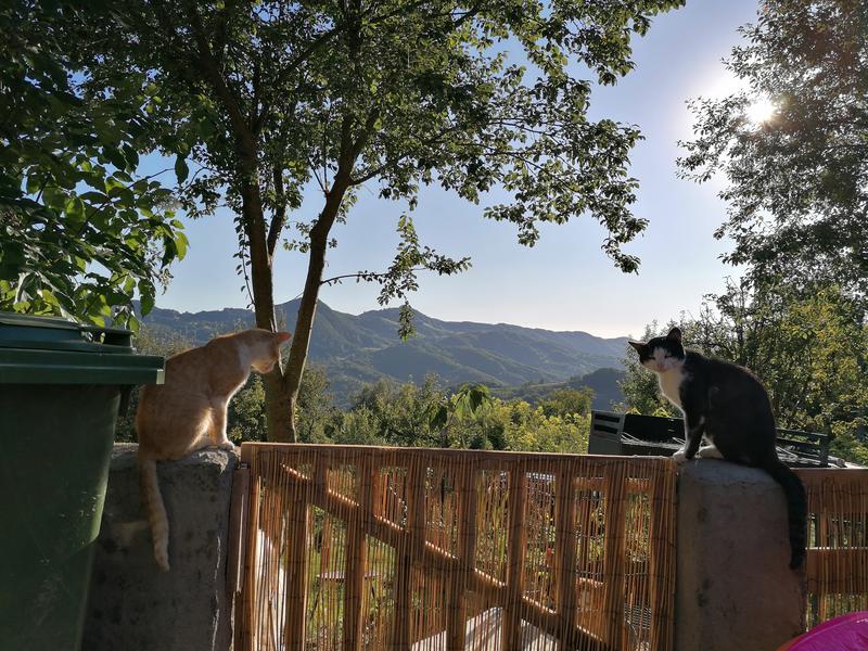 Mutat la tara- Viata fara ceas, Foto: Arhiva personala