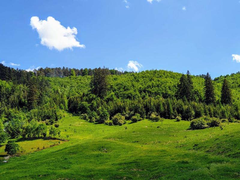 Peisaj de iunie la munte, Foto: Vlad Barza / HotNews.ro