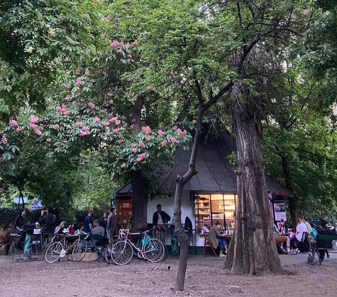 Zona Libera, Cismigiu, Foto: Hotnews