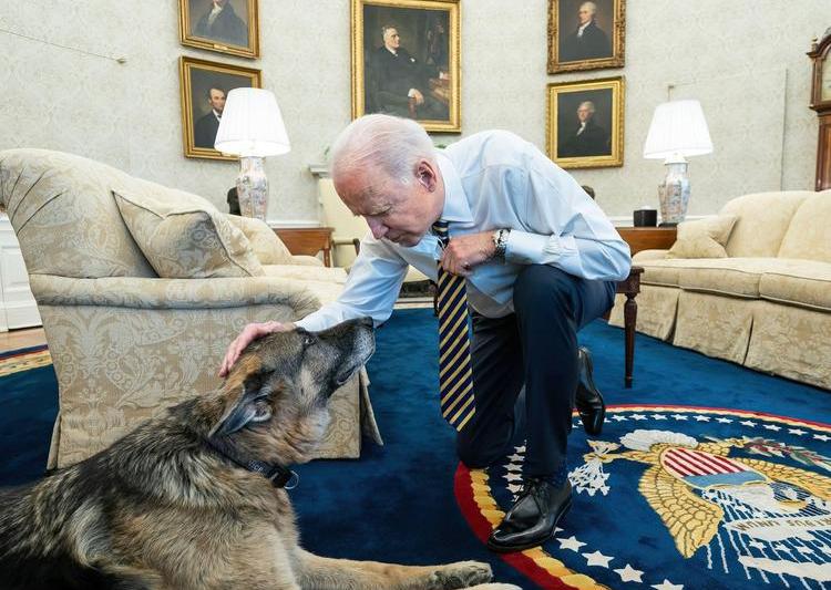 Joe Biden cu cainele Champ, Foto: American Photo Archive / Alamy / Profimedia