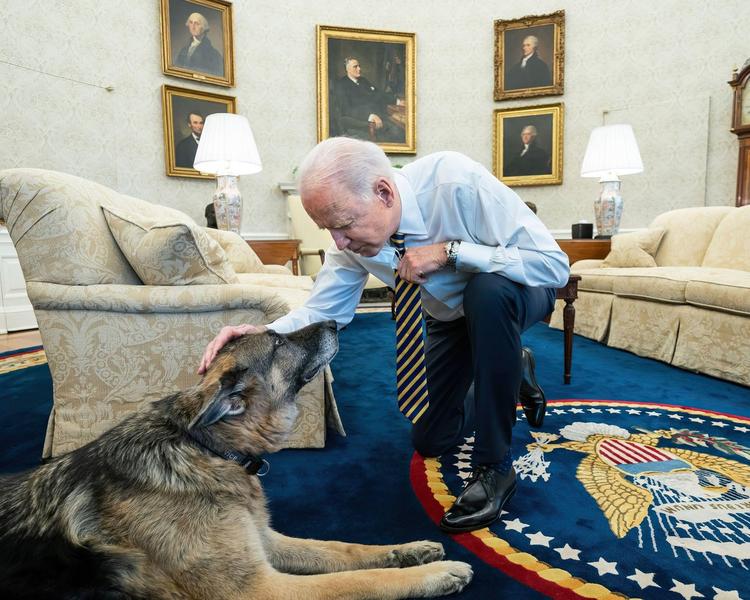 Joe Biden cu cainele Champ, Foto: American Photo Archive / Alamy / Profimedia