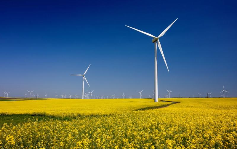 Turbine eoliene, Foto: Dpvue, Dreamstime.com