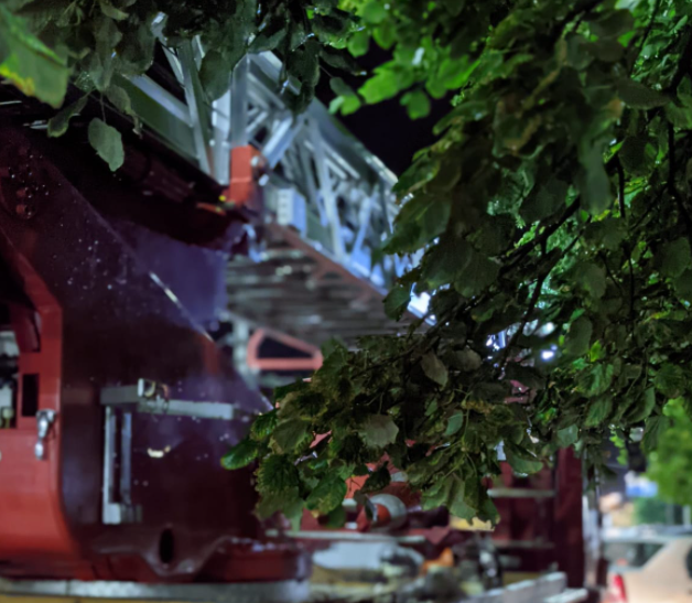 Furtuna Arad, Foto: captura ISU Arad