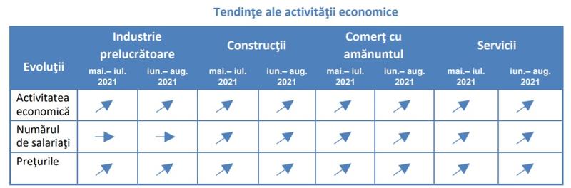 Tendinte ale activității economice, Foto: INS