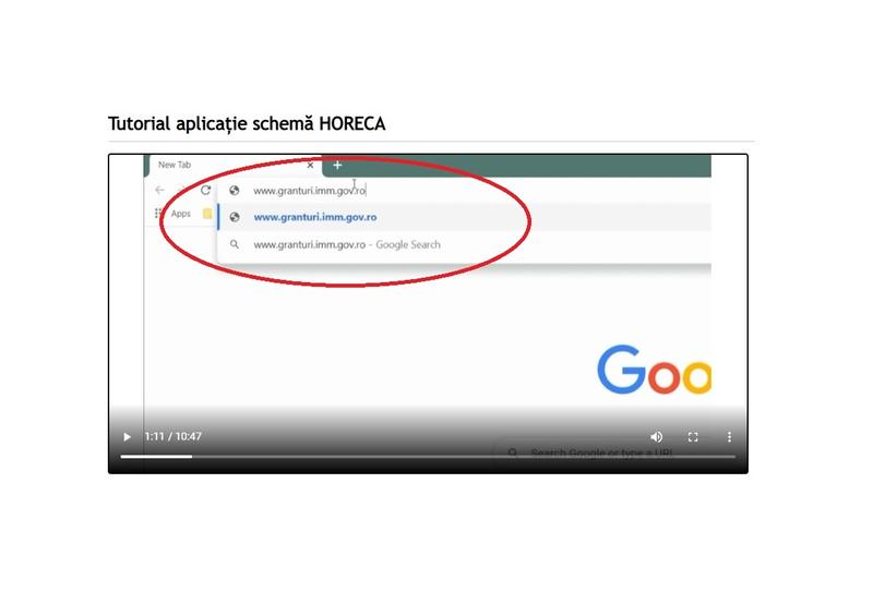 Tutorial Schema HoReCa, Foto: Ministerul Economiei