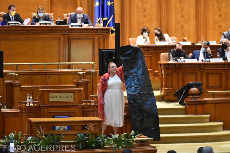 Diana Sosoaca a făcut scandal in Parlament, Foto: AGERPRES