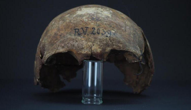 Craniul vanator-culegatorului descoperit in Letonia, Foto: Dominik Goldner / BGAEU Berlin