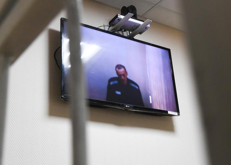 Alexei Navalnii in timpul unei sedinte de judecata prin legatura video, Foto: Kirill Kallinikov / Sputnik / Profimedia