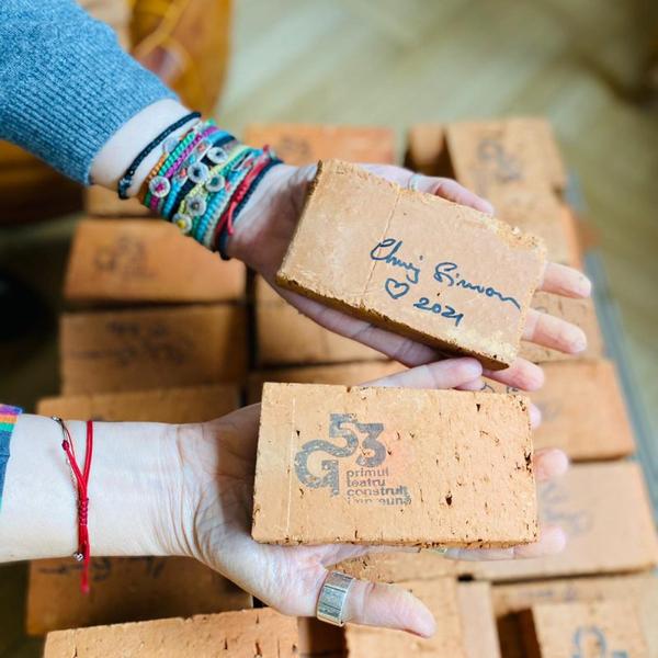 Proiectul Teatrul Grivita 53, Foto: Hotnews