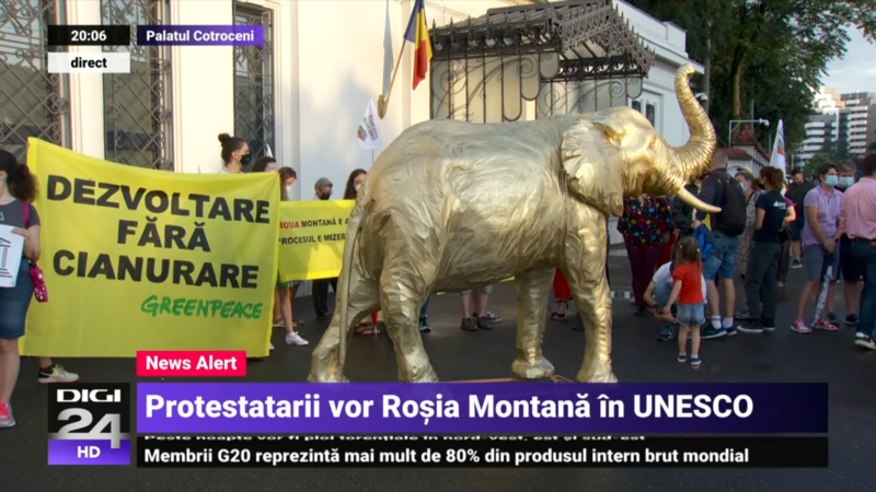 Elefant de aur adus la protestul de la Cotroceni, Foto: Captura Digi 24
