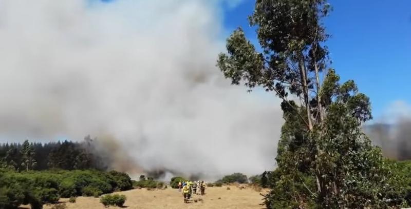 Incendii de vegetatie in SUA, Foto: Captura YouTube