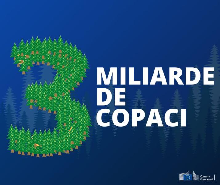 Strategia UE privind padurile, Foto: Comisia Europeana