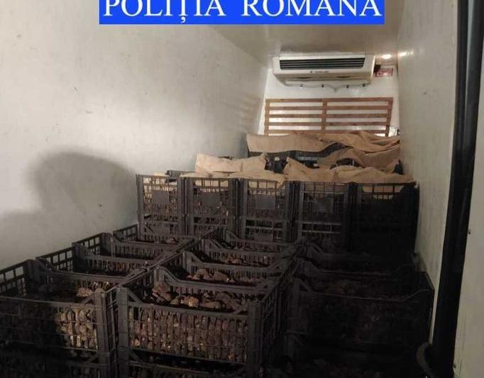 Trufe negre capturate in Neamt, Foto: Politia Romana