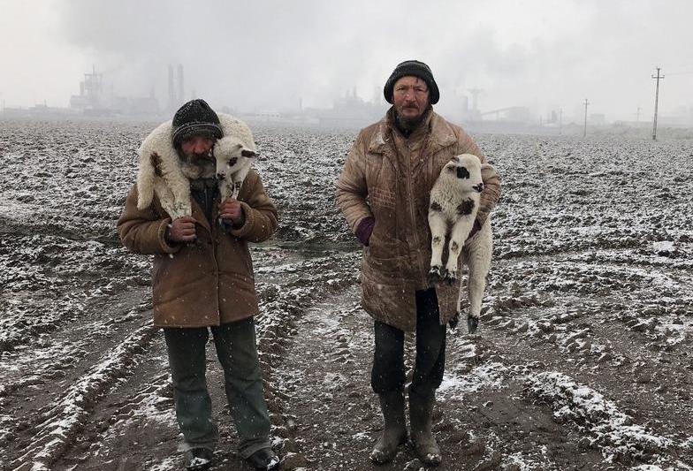 Transylvanian Shepherds, Foto: Istvan Kerekes / IPPA