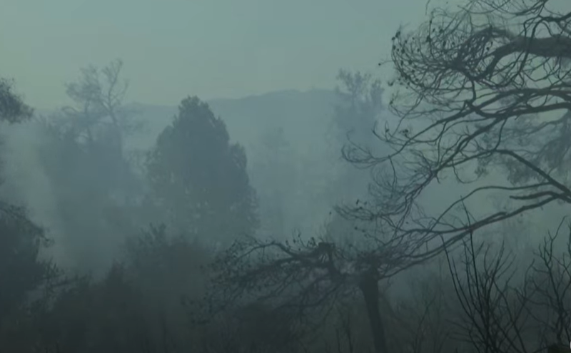 incendii de vegetatie Grecia, Foto: Captura YouTube