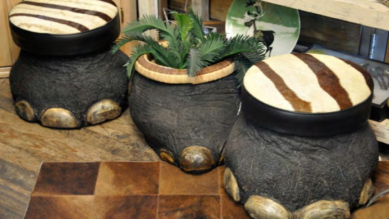 Trofee, Foto: hsi.org