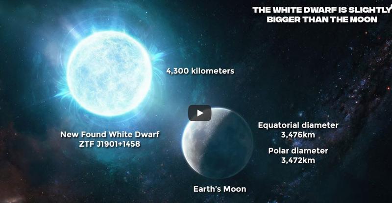 Pitică alba, Foto: youtube.com