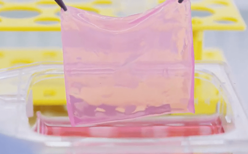 Piele creata cu ajutorul bioingineriei, Foto: Captura video