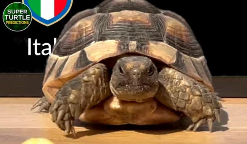 Testoasa Sigmund, Foto: youtube.com