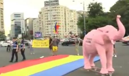 protest in Piata Victoriei, la 3 ani de la 10 august, Foto: Captura