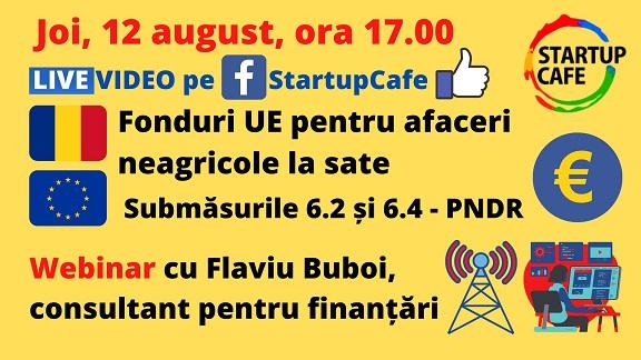 WEBINAR, Foto: StartupCafe.ro