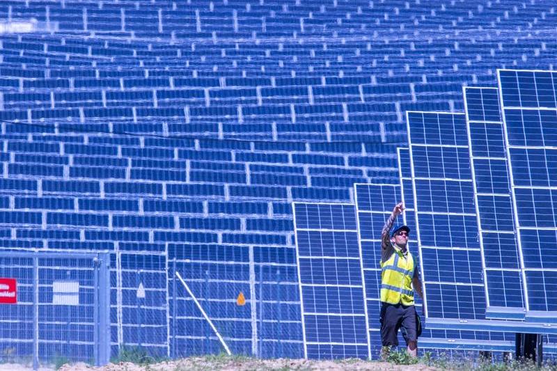 Parc fotovoltaic din Germania, Foto: JENS BUTTNER / AFP / Profimedia