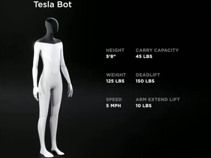 Tesla Bot, Foto: Tesla Motors