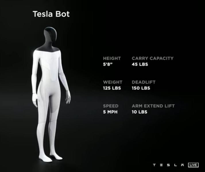 Tesla Bot, Foto: Tesla Motors