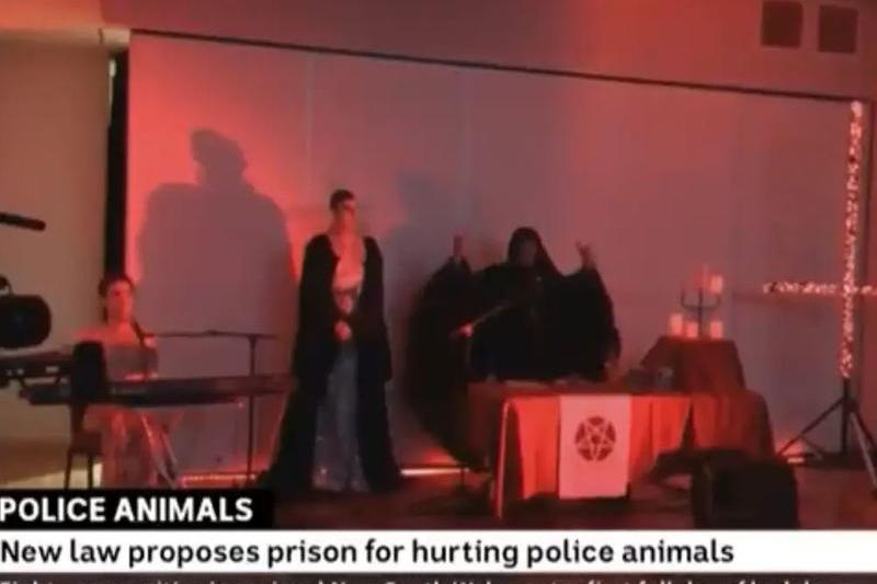 Imaginile au fost difuzate de ABC TV in timpul stirilor de seara, Foto: Captura video