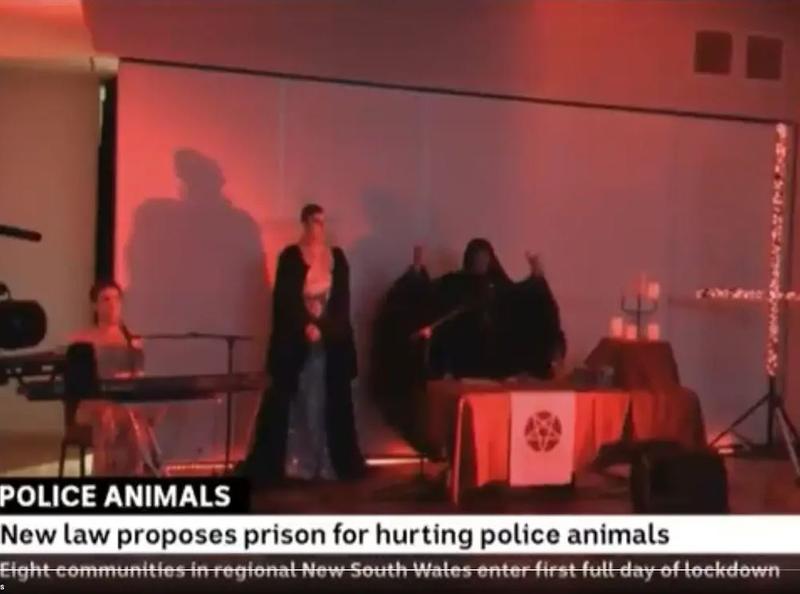 Imaginile au fost difuzate de ABC TV in timpul stirilor de seara, Foto: Captura video